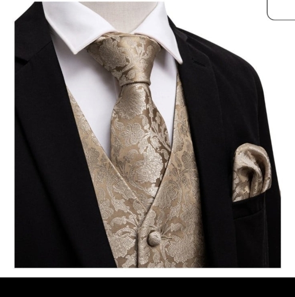 Barry. Wang Classic Men's Ties Formal Business Wedding  Necktie Set - Picture 2 of 3